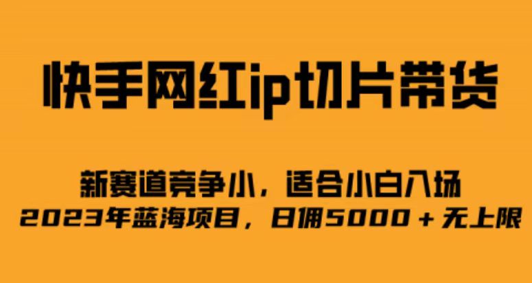 快手网红ip切片新赛道，竞争小，适合小白 2023蓝海项目-大磊资源网