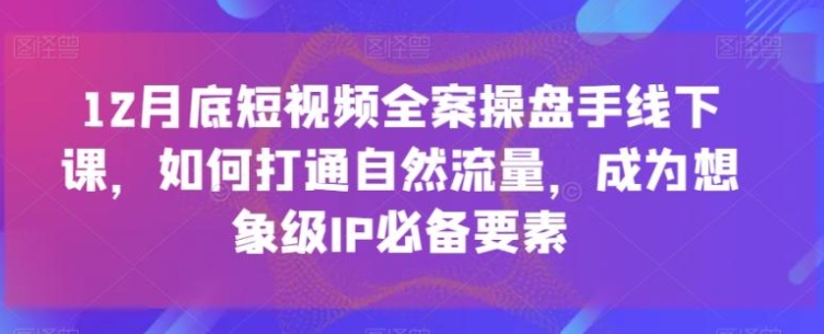 12月底短视频全案操盘手线下课，如何打通自然流量，成为想象级IP必备要素，全是干货，不讲废话超深度培训实操-大磊资源网