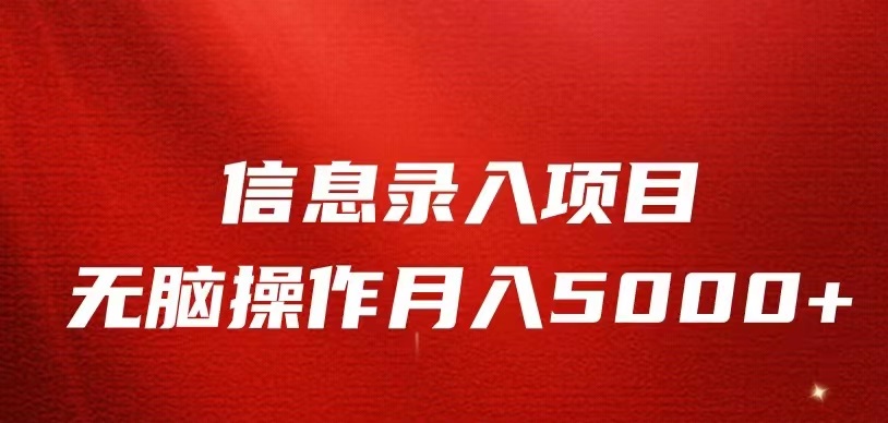 信息录入返佣项目，小白无脑复制粘贴，月入5K+-大磊资源网