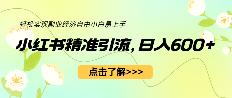 小红书精准引流，小白日入600+，轻松实现副业经济自由-大磊资源网