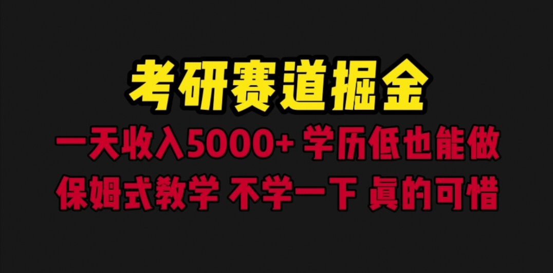 考研赛道掘金，一天5000+学历低也能做，保姆式教学，不学一下，真的可惜-大磊资源网