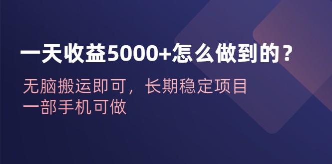一天收益5000+怎么做到的？无脑搬运即可，长期稳定项目，一部手机可做-大磊资源网