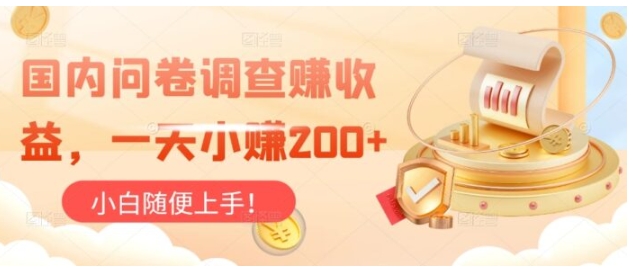 国内问卷调查赚收益，小白随便上手-大磊资源网