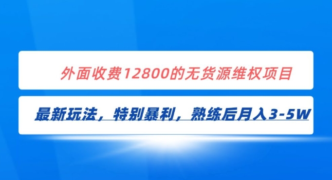 全网首发！外面收费12800的无货源维权最新暴利玩法，轻松月入3-5W-大磊资源网