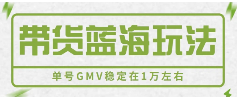 视频号带货蓝海玩法，英文育儿书单号带货详解，单号GMV稳定在1万左右。-大磊资源网