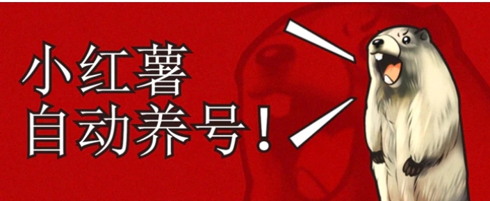 小红书养号秘籍，如何自动涨粉清晰系统标签打造高权重账号【揭秘】-大磊资源网