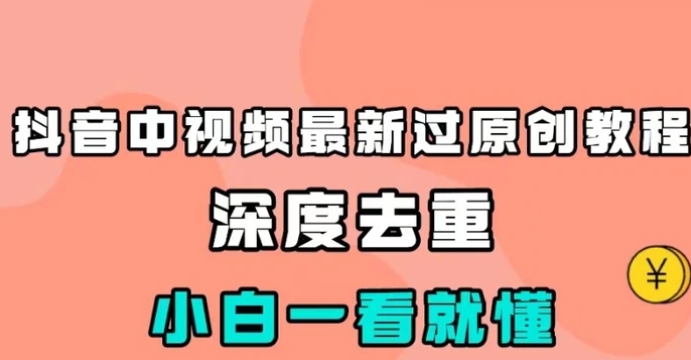 抖音中视频最新过原创教程，深度去重，小白一看就懂【揭秘】-大磊资源网