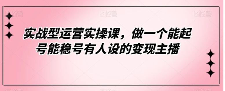 实战型运营实操课，做一个能起号能稳号有人设的变现主播-大磊资源网