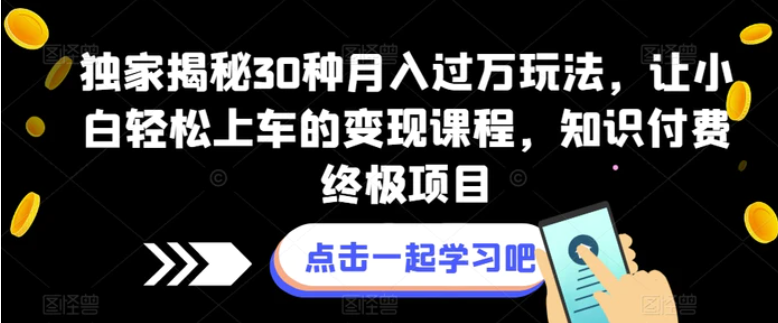独家揭秘30种月入过万玩法，让小白轻松上车的变现课程，知识付费终极项目【揭秘】-大磊资源网