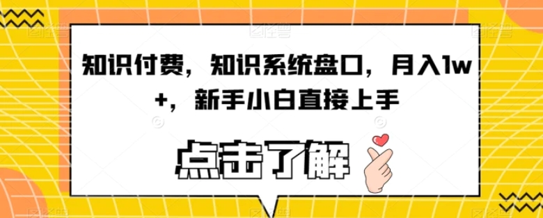 知识付费，知识系统盘口，月入1w+，新手小白直接上手-大磊资源网