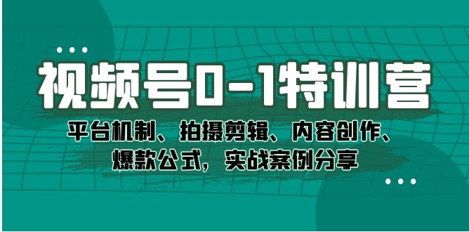 视频号0-1特训营：平台机制、拍摄剪辑、内容创作、爆款公式，实战案例分享-大磊资源网