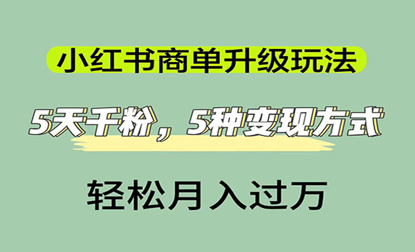 《小红书商单升级玩法》5天千粉，5种变现渠道，轻松月入1万+-大磊资源网