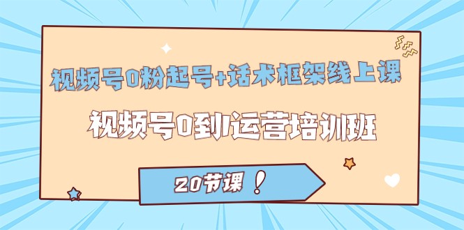 视频号·0粉起号+话术框架线上课：视频号0到1运营培训班-大磊资源网