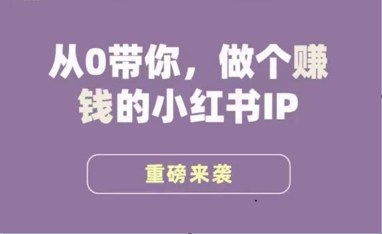小红书运营大宝典，从0带你做个赚钱的小红书IP-大磊资源网