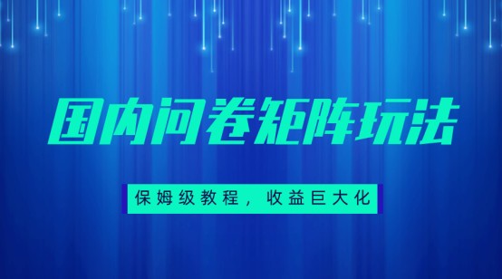 保姆级教程，国内问卷矩阵玩法，轻松赚收益-大磊资源网