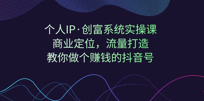个人IP·创富系统实操课：商业定位，流量打造，教你做个赚钱的抖音号-大磊资源网