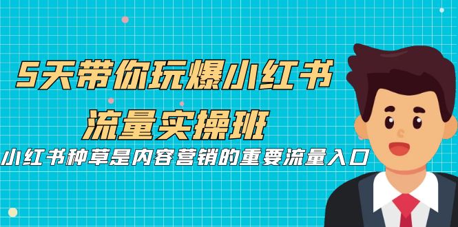 5天带你玩爆小红书流量实操班，小红书种草是内容营销的重要流量入口-大磊资源网