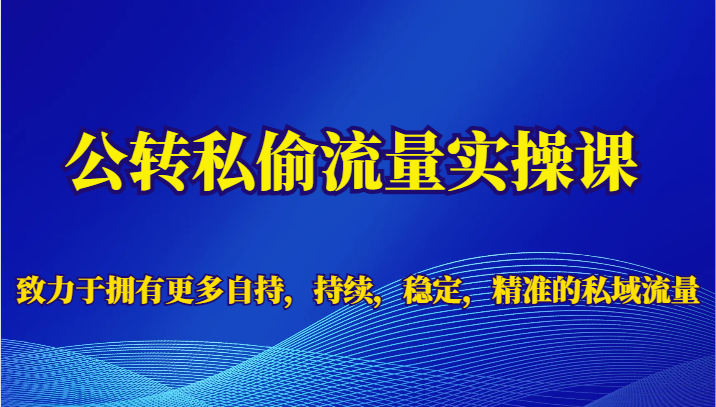 公转私偷流量实操课，致力于拥有更多自持，持续，稳定，精准的私域流量-大磊资源网
