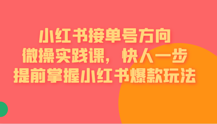 小红书接单号方向微操实践课，快人一步提前掌握小红书爆款玩法-大磊资源网