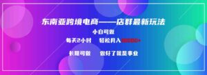 （9060期）东南亚跨境电商店群新玩法2—小白每天两小时轻松10000+-大磊资源网