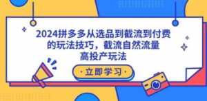 （9037期）2024拼多多从选品到截流到付费的玩法技巧，截流自然流量玩法，高投产玩法-大磊资源网
