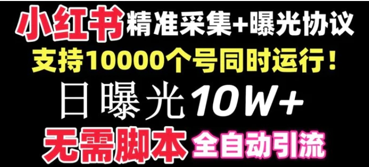 【价值10万！】小红书全自动采集+引流协议一体版！无需手机，支持10000个号同时运行-大磊资源网