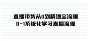 （9105期）直播带货从0到精通全流程，0-1系统化学习直播流程（35节课）-大磊资源网