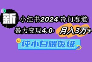（9134期）小红书2024冷门赛道月入3万+暴力变现4.0纯小白喂饭级-大磊资源网