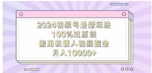 （9151期）2024视频号最新玩法，100%过原创，搬用机器人视频掘金，月入10000+-大磊资源网