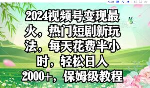 （9161期）2024视频号变现最火，热门短剧新玩法，每天花费半小时，轻松日入2000+，…-大磊资源网