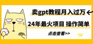（9180期）24年最火项目，卖gpt教程月入过万，操作简单-大磊资源网