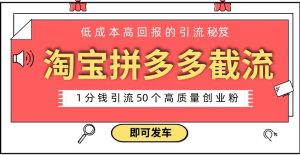 淘宝拼多多电商平台截流创业粉只需要花上1分钱，长尾流量至少给你引流50粉-大磊资源网