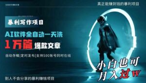 （9221期）AI全自动一天洗1万篇爆款文章，真正解放双手，月入过万轻轻松松！-大磊资源网