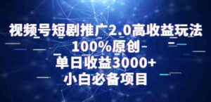 （9236期）视频号短剧推广2.0高收益玩法，100%原创，单日收益3000+，小白必备项目-大磊资源网