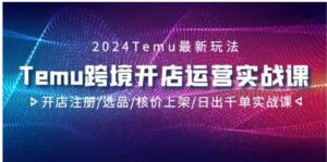 （9208期）2024Temu跨境开店运营实战课，开店注册/选品/核价上架/日出千单实战课-大磊资源网