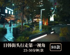 日韩城市街头行走第一视角素材-大磊资源网