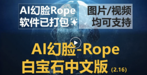 AI换脸免费软件Rope中文汉化白宝石版本全新UI界面，修复部分已知错误【附下载地址与详细使用教程】-大磊资源网