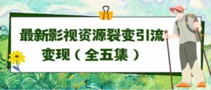 （9252期）利用最新的影视资源裂变引流变现自动引流自动成交（全五集）-大磊资源网