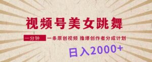 （9272期）视频号，美女跳舞，一分钟一条原创视频，撸爆创作者分成计划，日入2000+-大磊资源网