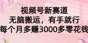 （9278期）视频号新赛道，无脑搬运，有手就行，每个月多赚3000多零花钱-大磊资源网