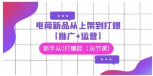（9286期）电商新品从上架到打爆【推广+运营】，新手从0打爆款（36节课）-大磊资源网
