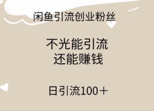 （9290期）闲鱼精准引流创业粉丝，日引流100＋，引流过程还能赚钱-大磊资源网