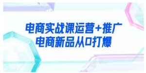 （9313期）电商实战课运营+推广，电商新品从0打爆（99节视频课）-大磊资源网