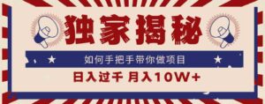 （9362期）独家揭秘，如何手把手带你做项目，日入上千，月入10W+-大磊资源网