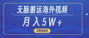 （9361期）无脑搬运海外短视频，3分钟上手0门槛，月入5W+-大磊资源网