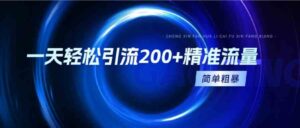 （9359期）一天轻松引流200+精准流量，简单粗暴，一看就会-大磊资源网