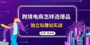 （9369期）跨境电商怎样选爆品，独立站建站实战（20节高清无水印课）-大磊资源网