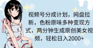 （9367期）视频号分成计划，网盘拉新，色粉原味多种变现方式，两分钟生成原创美女…-大磊资源网