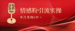（9473期）单月变现6w+，情感粉引流变现实操课-大磊资源网