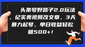 （9488期）头条号野路子2.0玩法，纪实类视频改文章，3天暴力起号，单日收益轻松破500+-大磊资源网